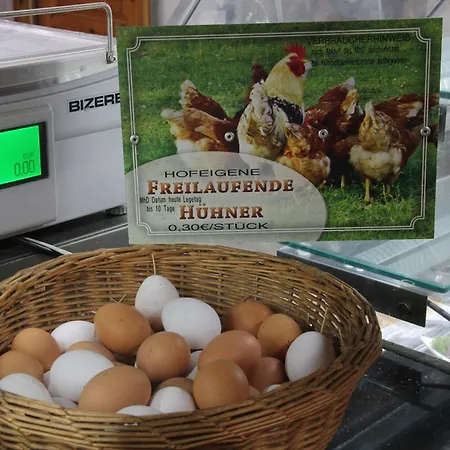 Paschlewwer Freizeit & Koethen (Anhalt)