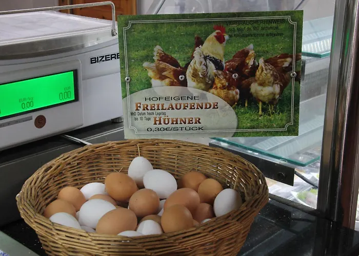 Paschlewwer Freizeit & Koethen (Anhalt)